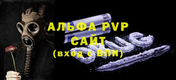 шишки Осташков