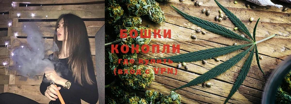 PSILOCYBIN Абинск