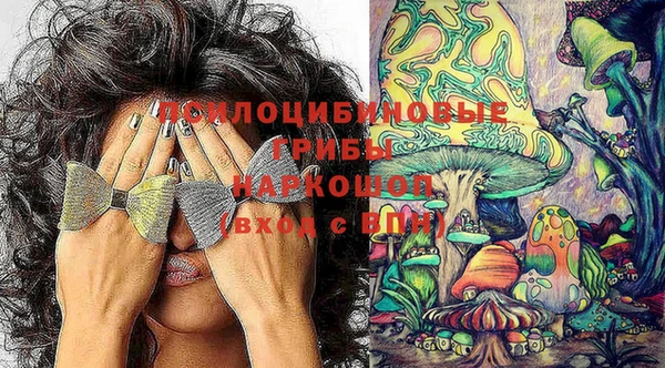 ешки Абаза