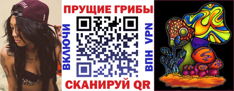 Галлюциногенные грибы Psilocybe  цена   Ак-Довурак 
